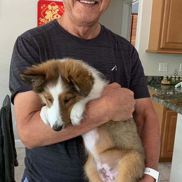 Meet your Posher, Linda - Picture 1 of 1